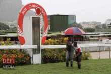 Hippisme : la 5e journée aura lieu ce dimanche 
