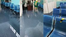 Fortes pluies : l’eau envahit l’hôpital de Rose-Belle