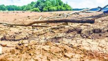 Sécheresse - crise de l’eau : le spectre de 1999 plane sur le pays