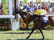 Bonjour Champ-de-Mars : les repérés de mardi