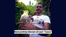 Rencontrez Deven et son Coco