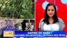 [Info Soirée] : « Ziska 19 mil rupi pu enn sapin artifisyel » 
