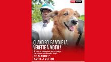 Scène insolite à Roches-Noires : un chien en copilote sur une moto