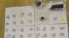 Pointe-aux-Sables : Une opération policière inédite aboutit à la saisie de drogue synthétique