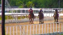 Hippisme : la tenue d'une ‘Mock Race’ à l’hippodrome de Petit-Gamin le 20 décembre envisagée