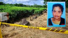 Femme retrouvée morte dans une plantation de thé : un suspect interpellé