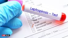 Plan de combat contre la leptospirose 