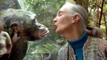 La célèbre primatologue Jane Goodall est morte