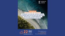 Menaces marines : comment les îles de l’océan Indien s’organisent – Conférence-débat à ne pas manquer | Inscrivez-vous !