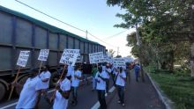 Des planteurs manifestent à La Marie