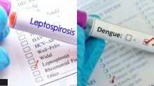 Santé : neuf décès liés à la leptospirose et huit décès à la dengue