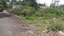 Curepipe: terrain en friche à Mootoo Lane