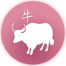 Travaux d’amélioration et d’embellissement: la plage publique de La Cambuse prend forme