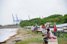 [Vidéo] Les poissons morts retrouvés à Pointe-aux-Sables, Bain-des-Dames et sur d’autres plages impropres à la consommation