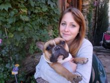 Elle réclame justice après la mort de son bouledogue importé de France