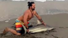 Il capture un requin pour se faire photographier sur la plage