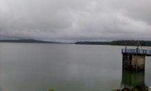 Pluviométrie : 242,4 mm à Mare-aux-Vacoas