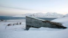 Norvège: une chambre froide pour préserver la diversité génétique en cas de catastrophe mondiale