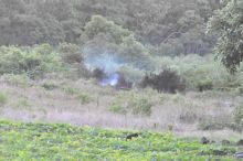 Horreur à Eau-Bouillie : il découvre le cadavre d'une femme en feu