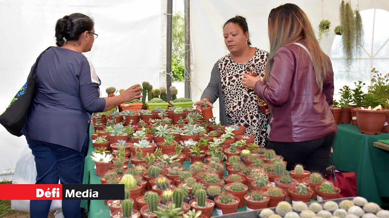 Plantes et arbres fruitiers ont fait l’unanimité. Salon du Déstockage