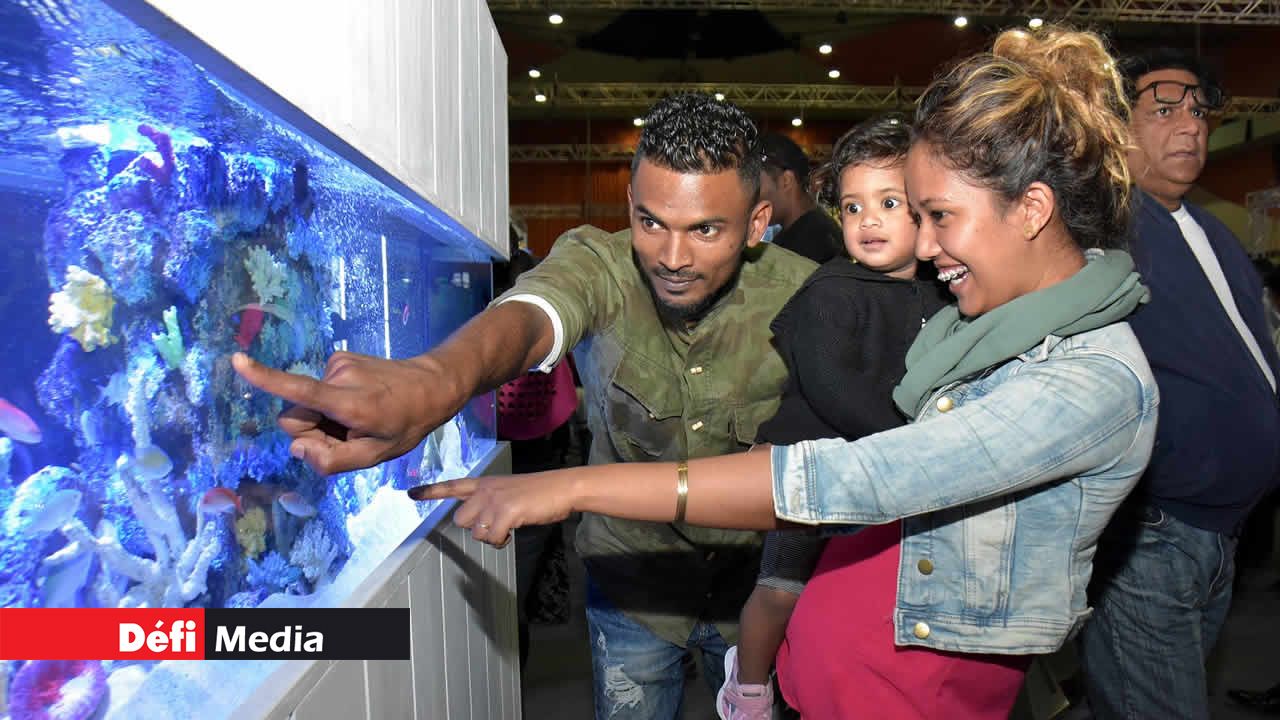 Moment de complicité devant l’aquarium de Reef for Life. Salon du Déstockage