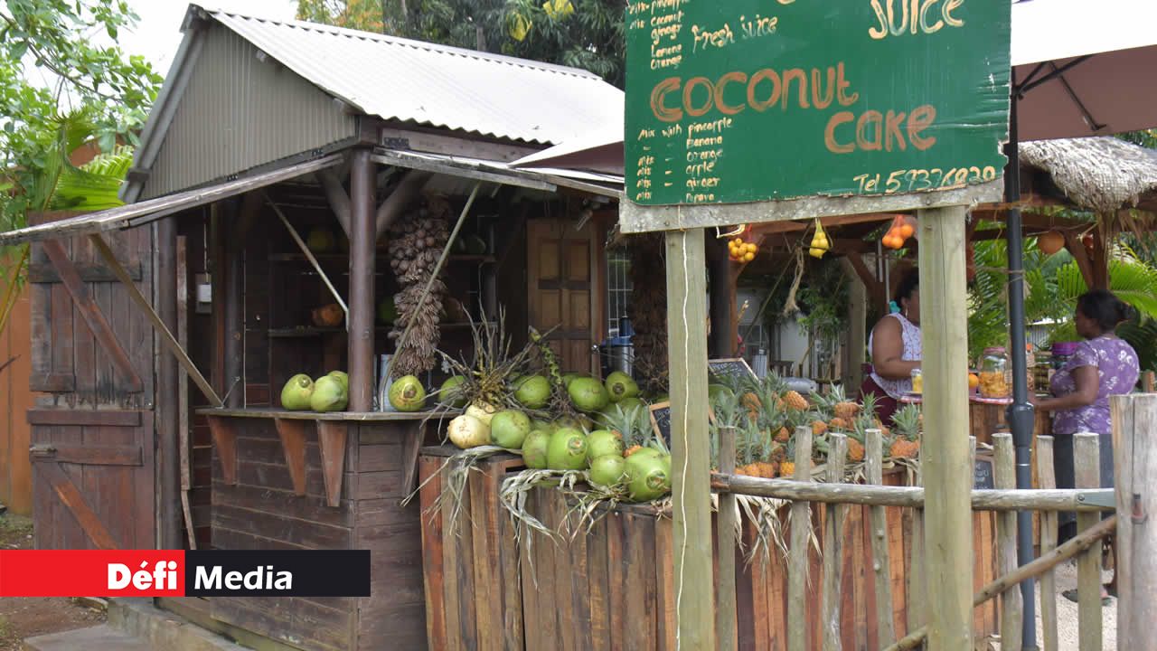 Les gens sont bien accueillis dans cette cabane qui garde son côté écolo. Gato coco
