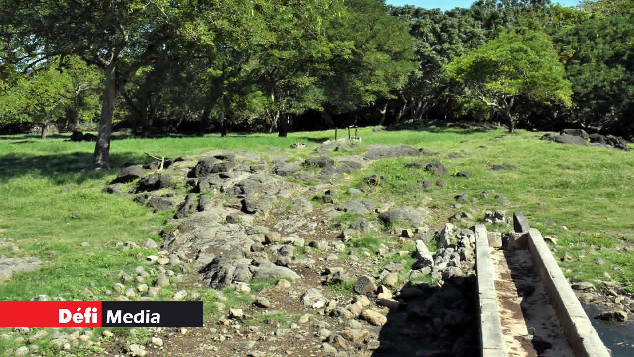 Le pâturage autrefois connu comme le parc Nicolin. Le Souffleur