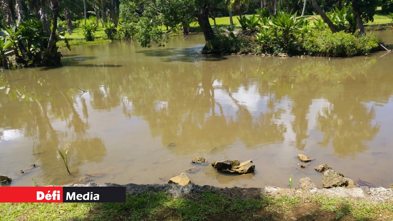 Le lac iconique du jardin.