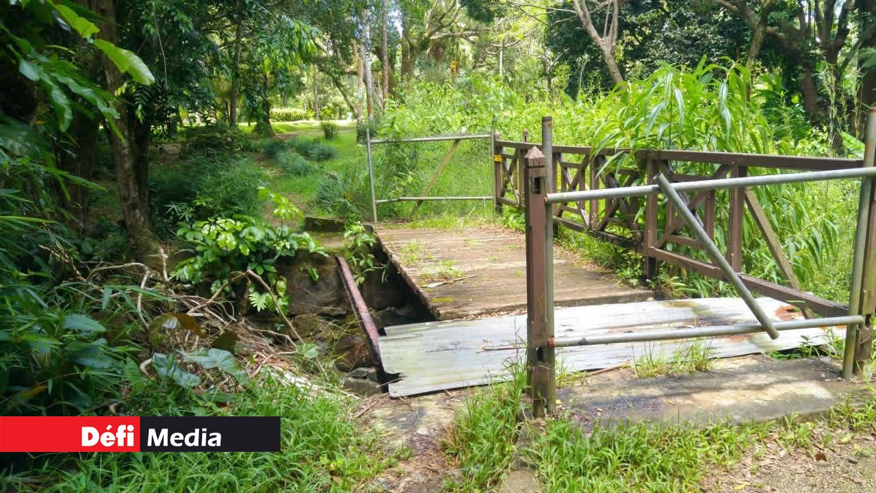 Pont avarié dans un joli coin où coule la rivière.