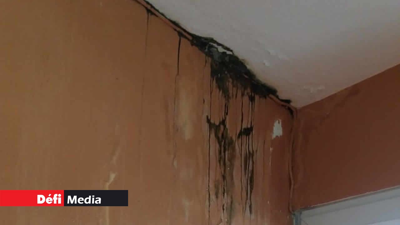 Des moisissures au mur. Sapeurs-pompiers