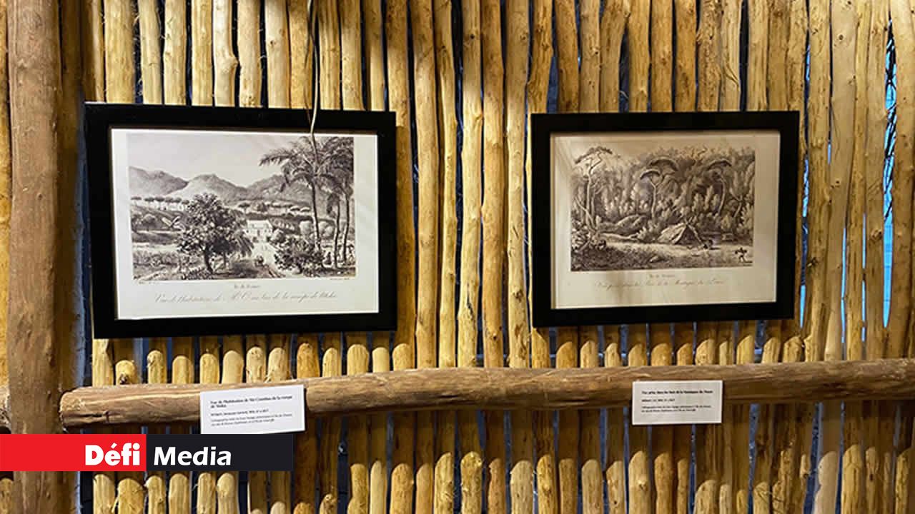 Des tableaux sur les murs de la petite maison évoquent le quotidien de ces êtres.