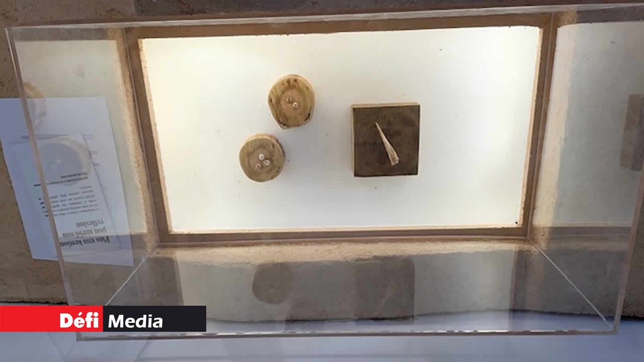 Trésors d’antan : artefacts, outils et objets du quotidien, dont un « Bone tool » découvert lors d’une fouille archéologique à Albion.