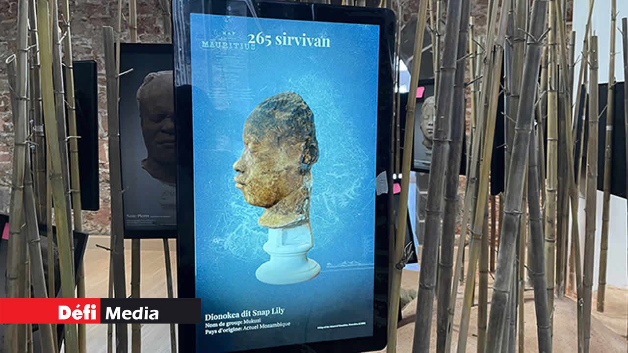 Plus qu’une image : écoutez les histoires vibrantes et émouvantes en bandes audio.