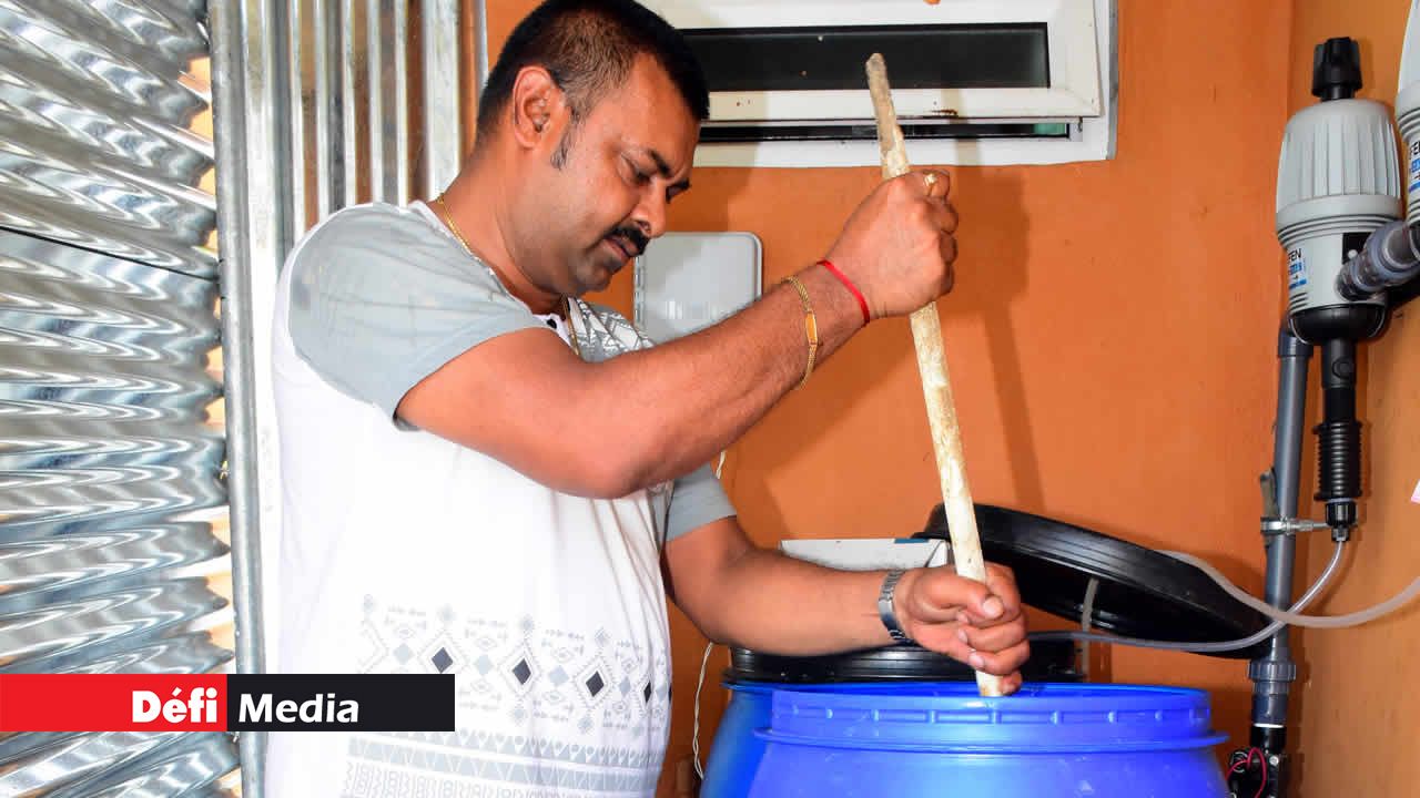 La mise en place du mécanisme pour activer le courant d’eau. Culture hydroponique