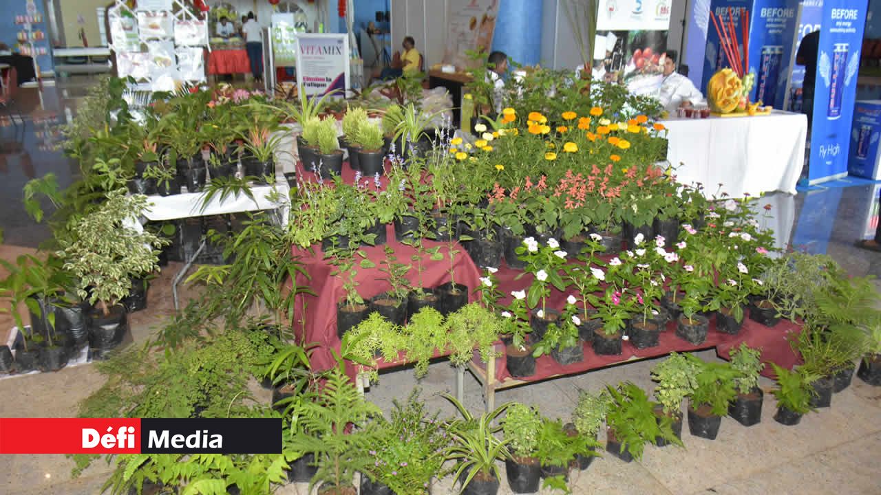 Salon de la Famille et de la Santé