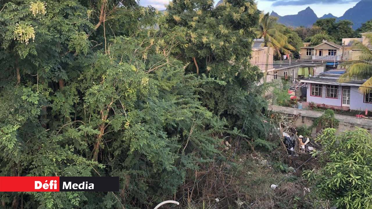 Sushil Lane, Riche-Terre