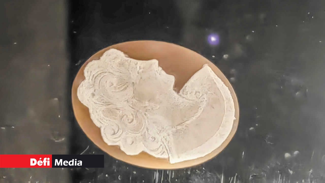 Des bijoux sont fabriqués à partir de la coquille du Casque cornu.