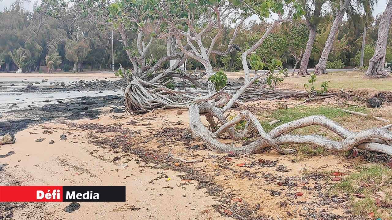 Un paysage apocalyptique ou presque à la plage d’Anse-La-Raie.