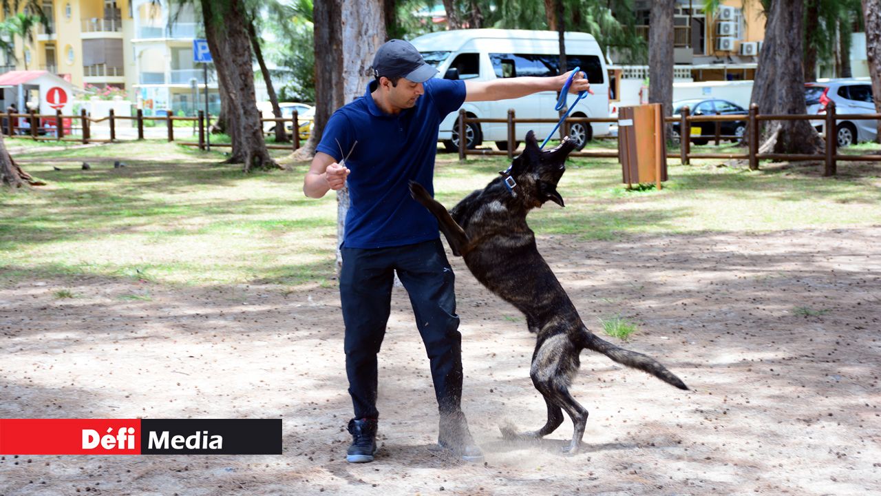 Tinagaren Govindasami