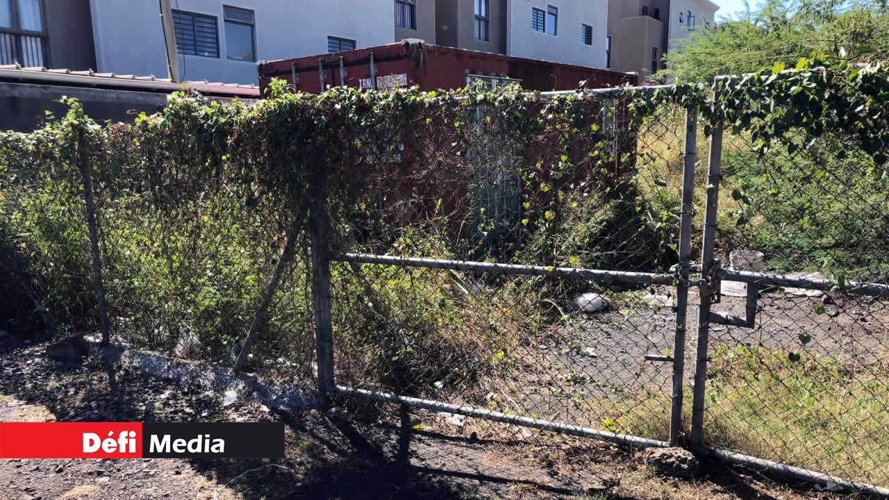 Terrains en friche dans l’Ouest