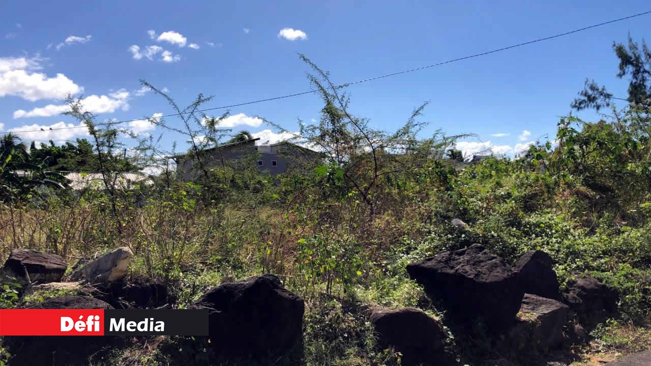 Les terrains en friche causent beaucoup de désagréments. Terrains en friche dans l’Ouest