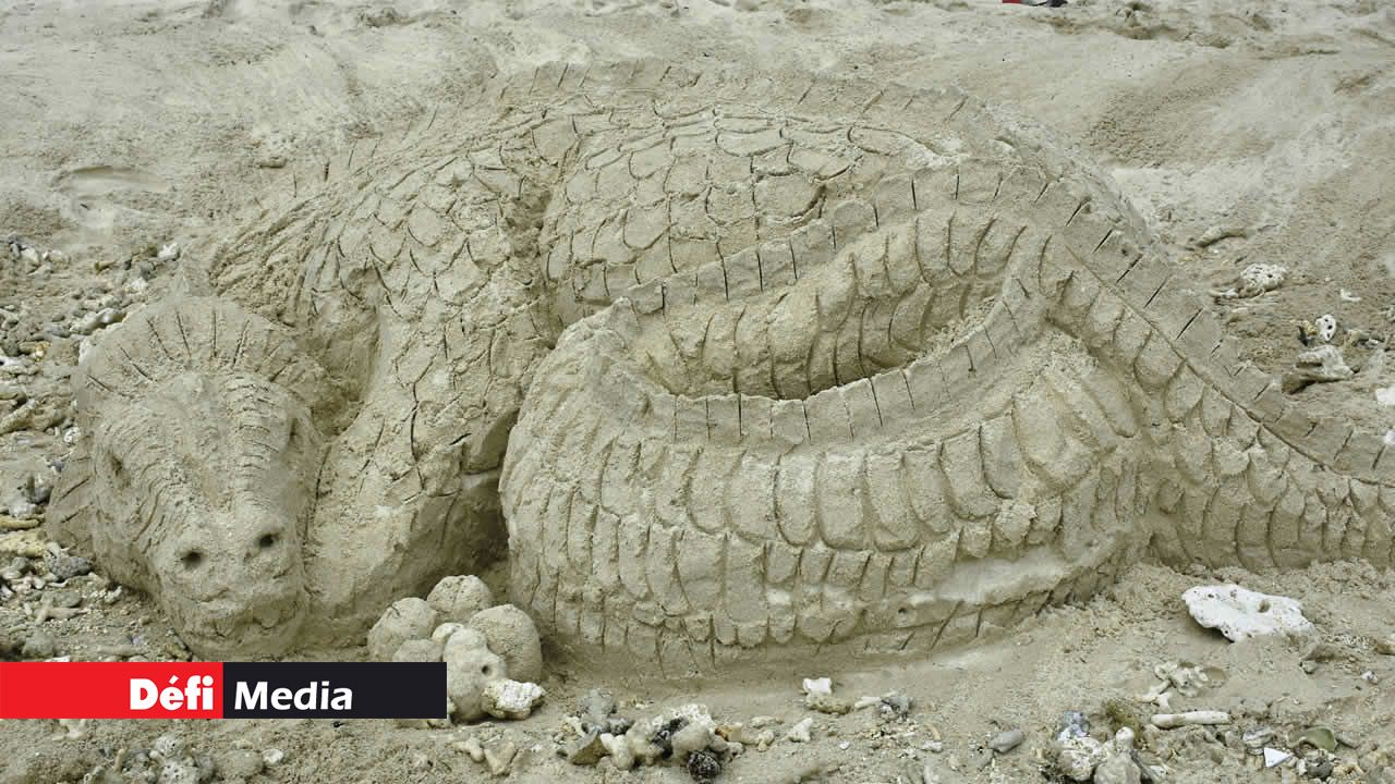 Un crocodile qui dort. Un crocodile qui dort.