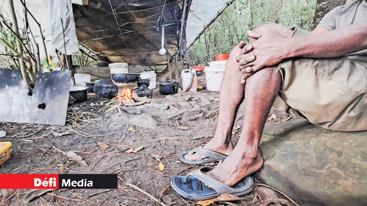 Marvin, l’ermite rencontré dans la forêt.