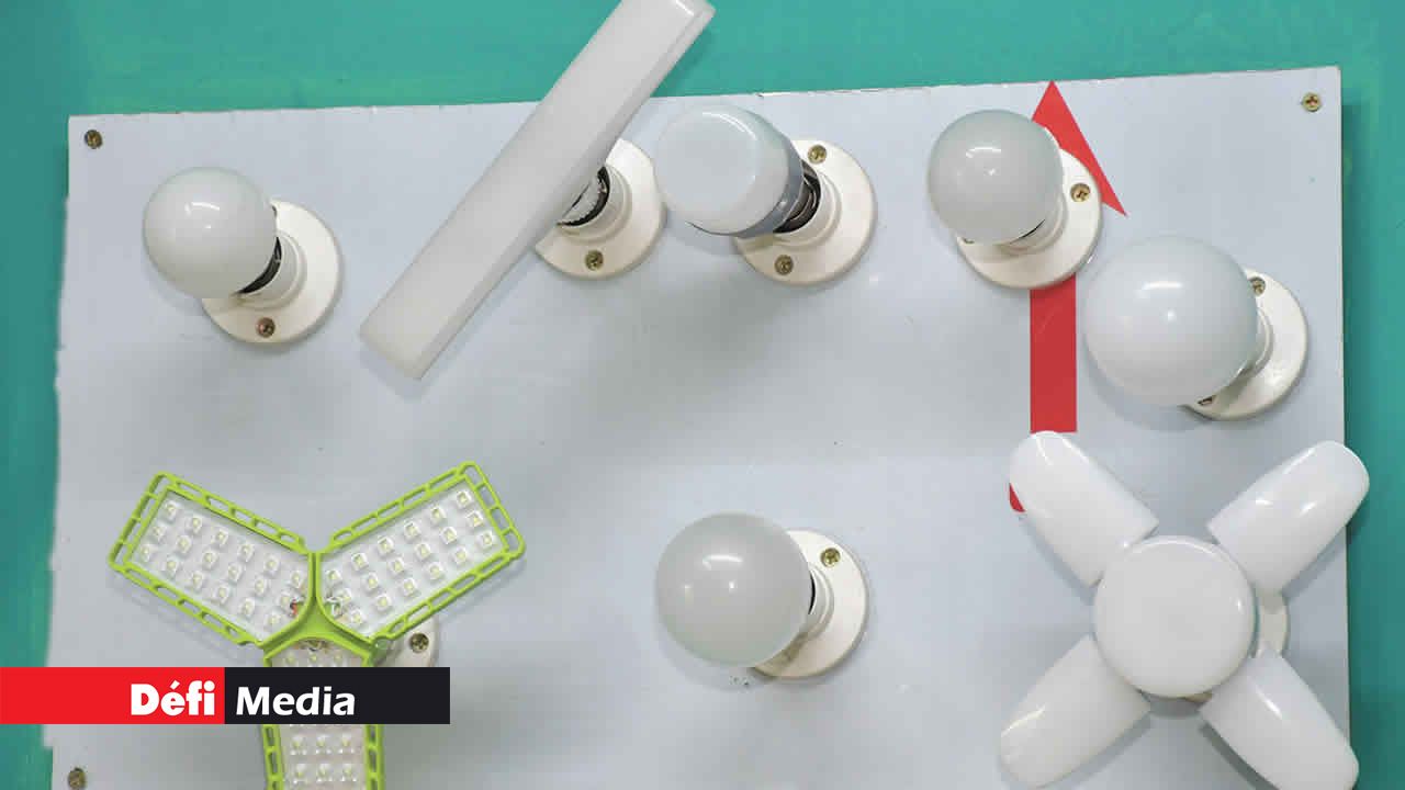 Des ampoules fabriquées par Pushpa Singh dans son petit atelier.