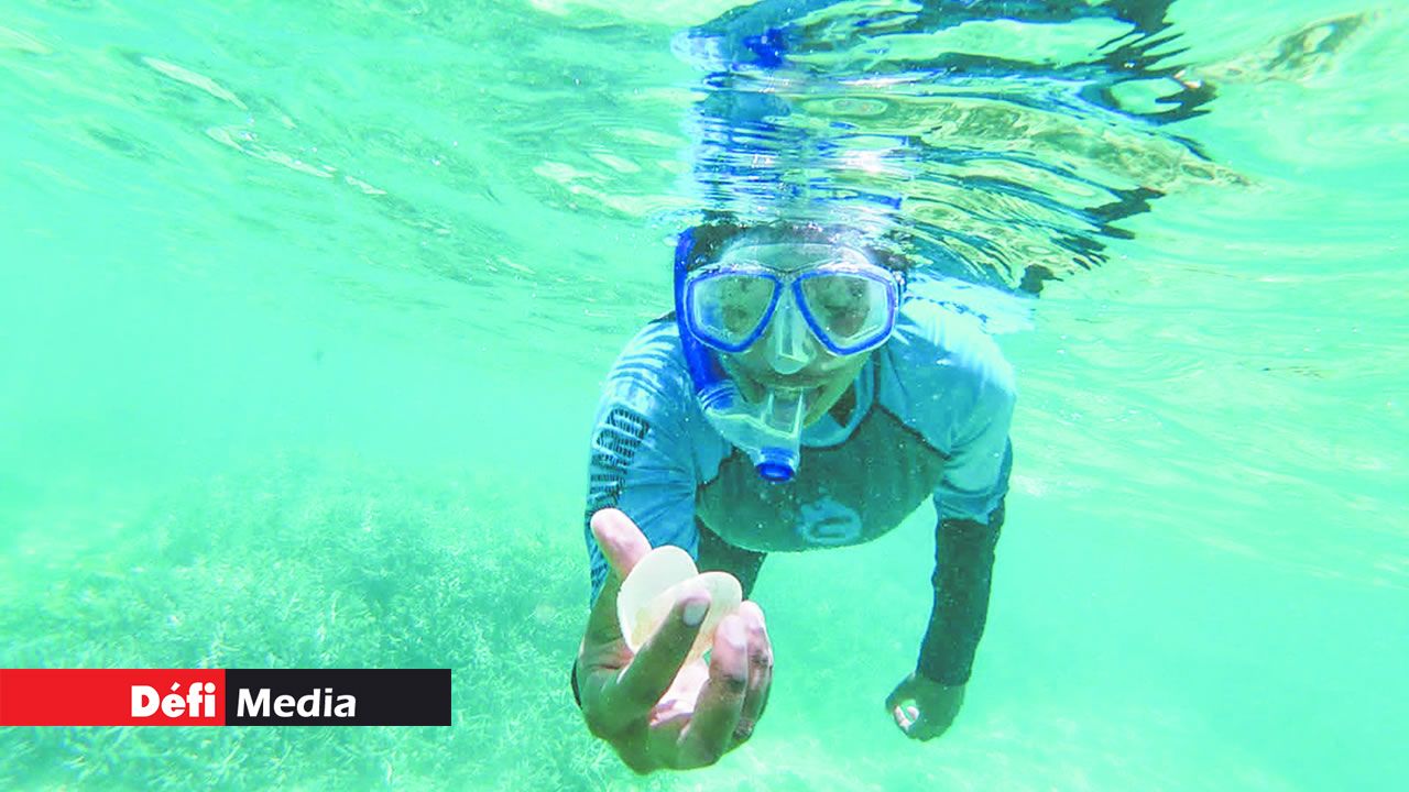 Divyasheel Sukhari est une étudiante en Master de science marine et océanographie.