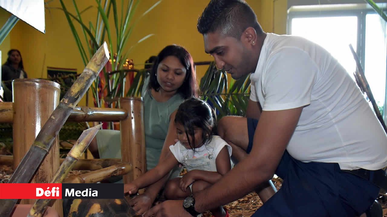Rencontre avec une tortue sur le Chemin de la Nature. 7e édition du Salon de la Famille et de la Santé
