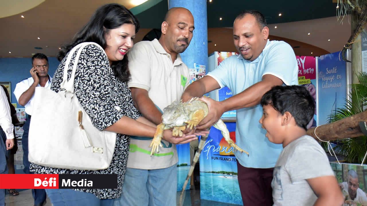 Les visiteurs ont pris la pause avec l’iguane de La Vanille Nature Park. 7e édition du Salon de la Famille et de la Santé