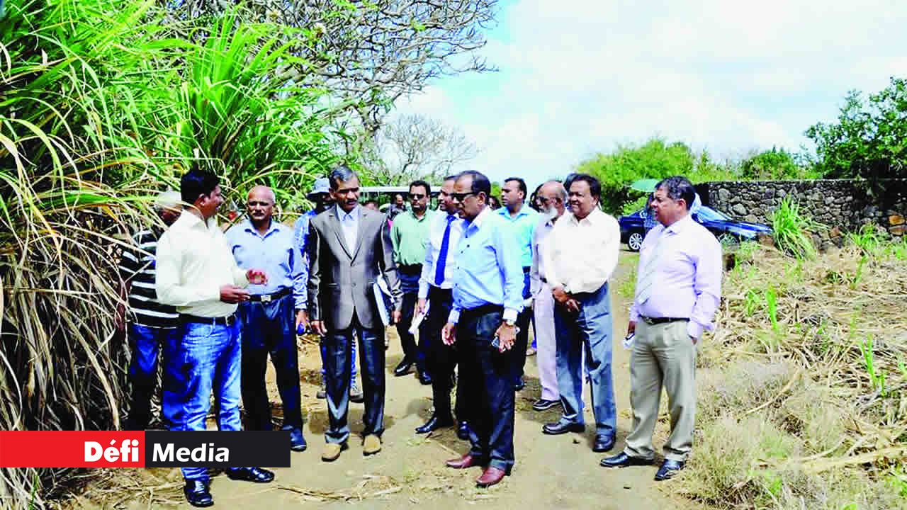 St Antoine Cooperative