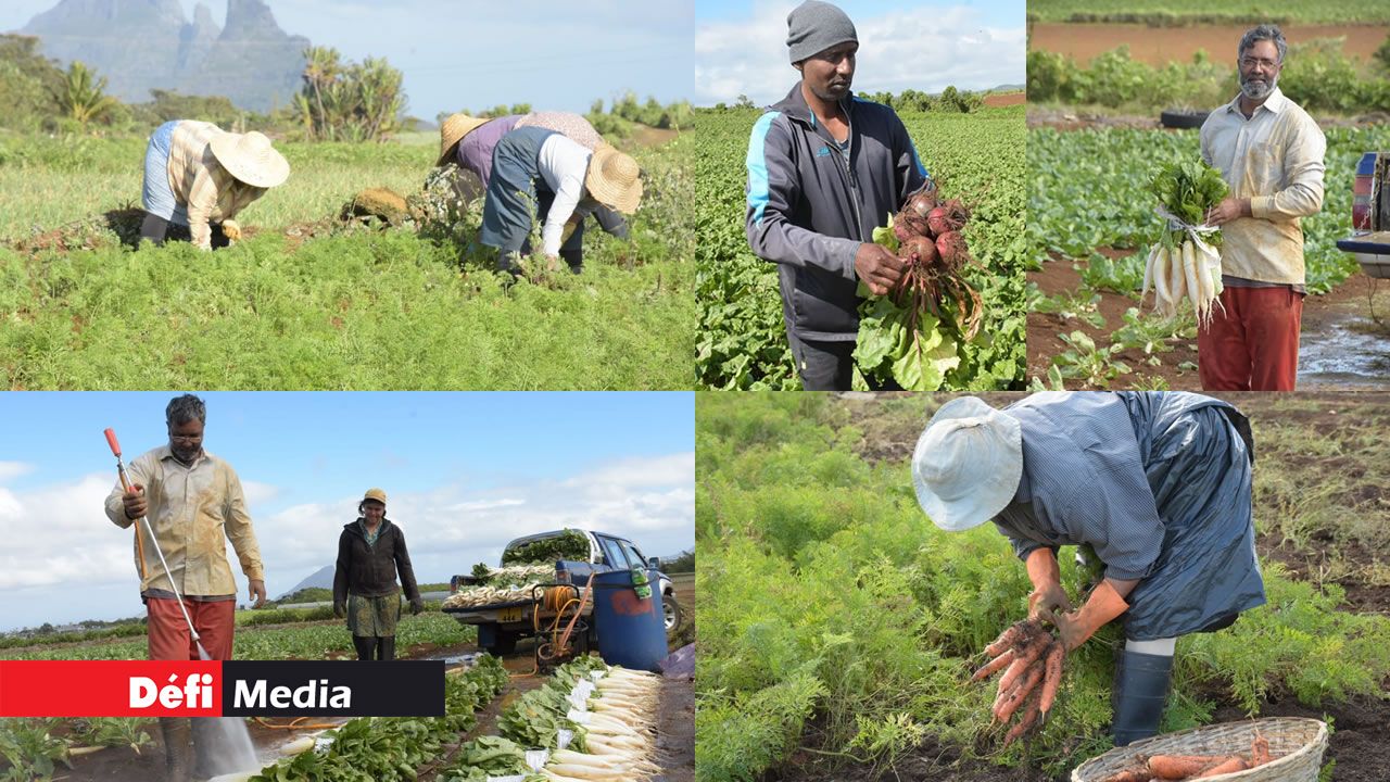 Un des greniers de l’île