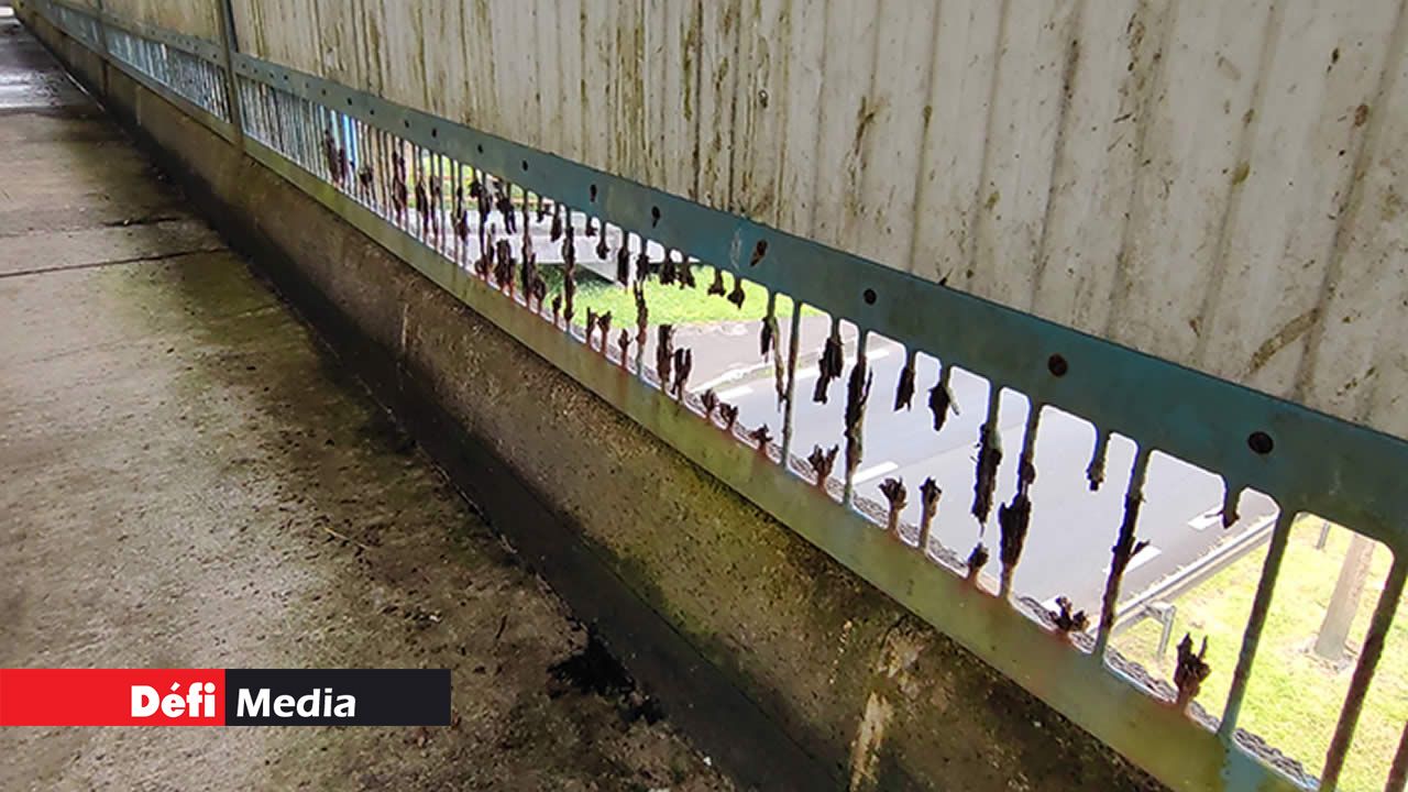 L’état de la passerelle à hauteur de Midlands laisse à désirer.